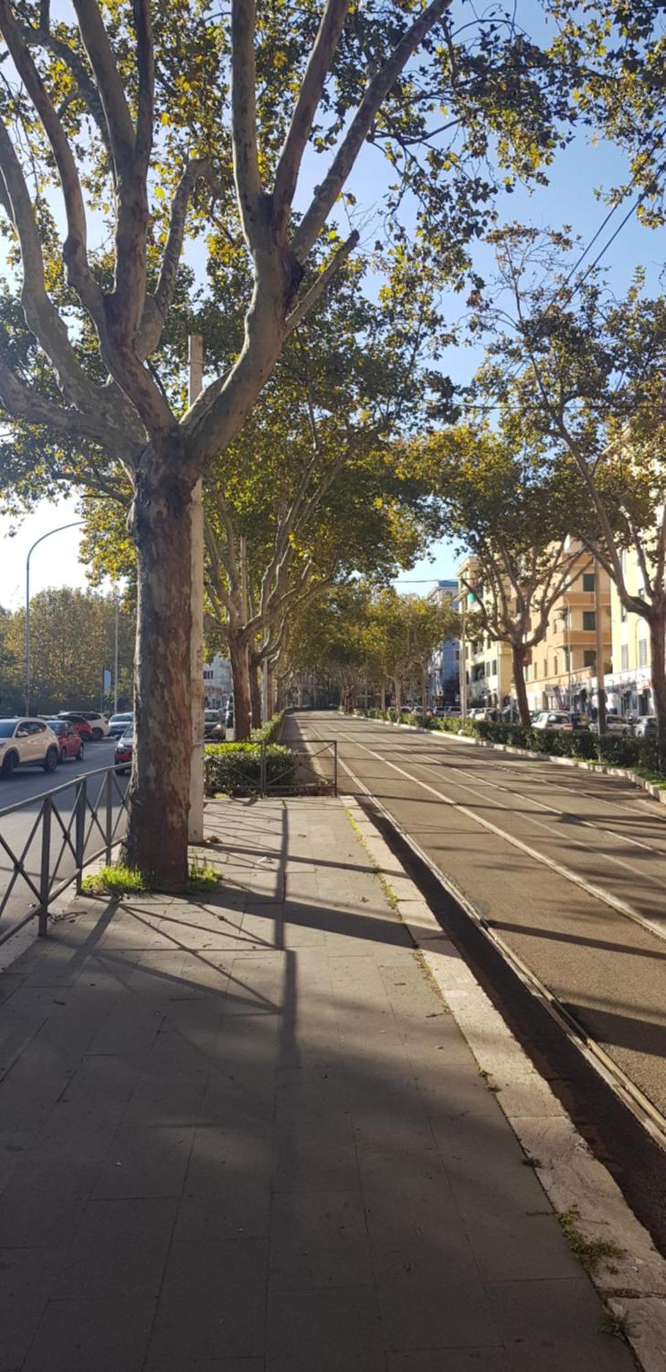 Trastevere Residenze Рим Екстериор снимка